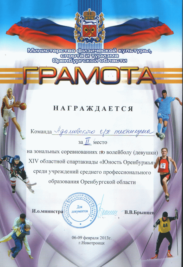 Юность Оренбуржья - 2013 г. Волейбол.gif