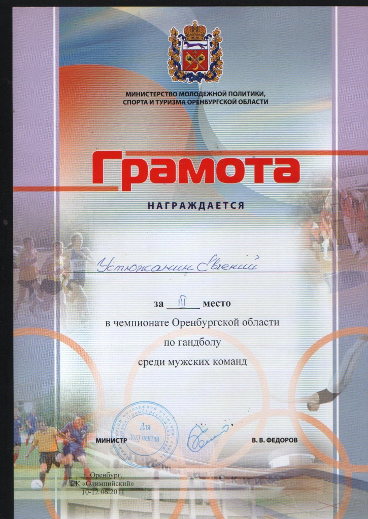 Чемпионат области по гандболу-2011 г..jpg